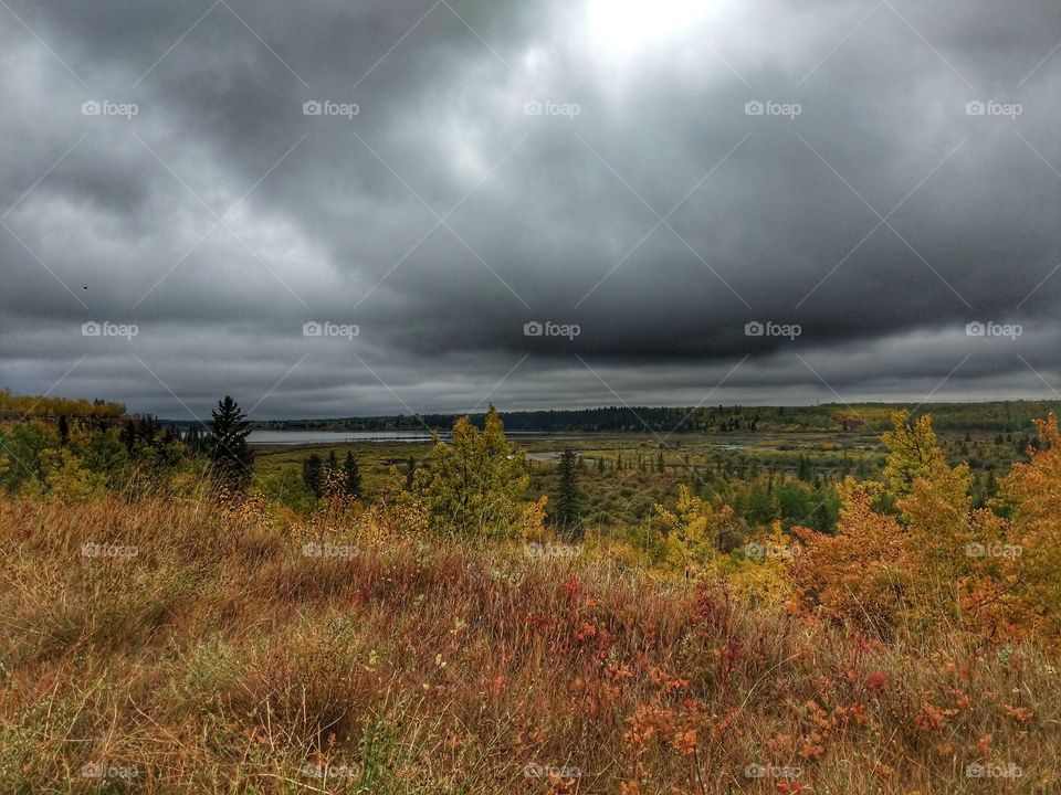 Stormy Skies and Fall COLORS