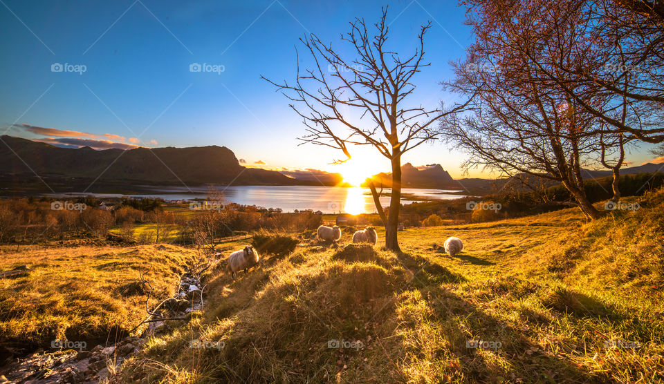 Sunset, Landscape, No Person, Nature, Dawn