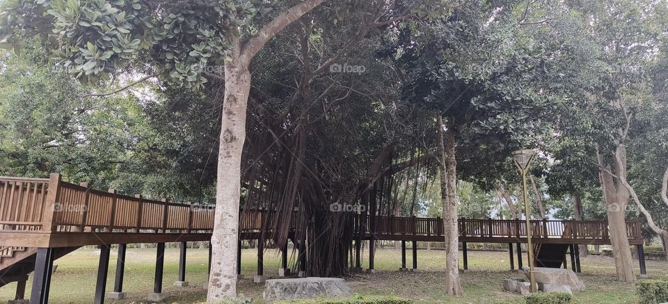 beautiful view of the park