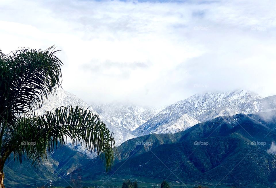 Snow Capped Mountain 