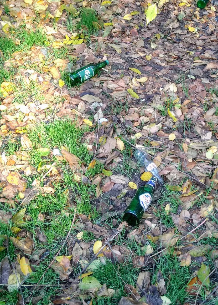 When you no longer see the trash