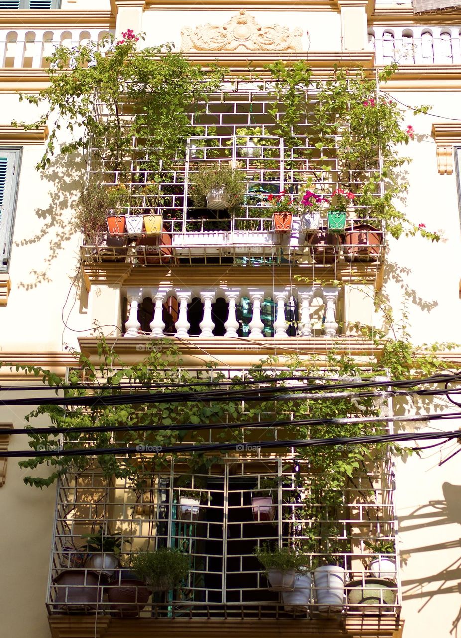 Balconies with beautiful plants in Hanoi city, Vietnam 