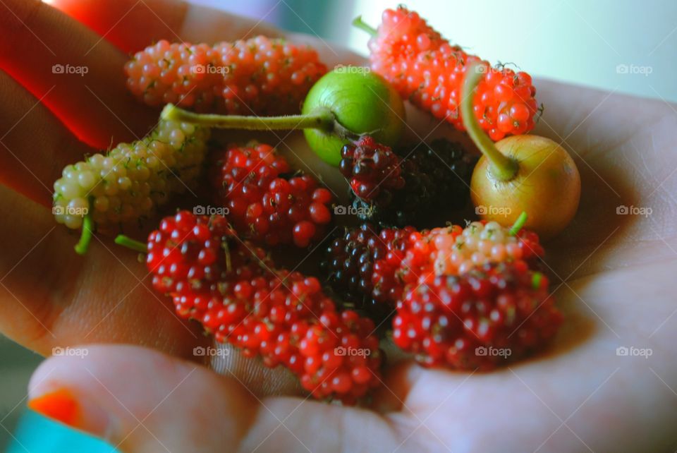 fruits!