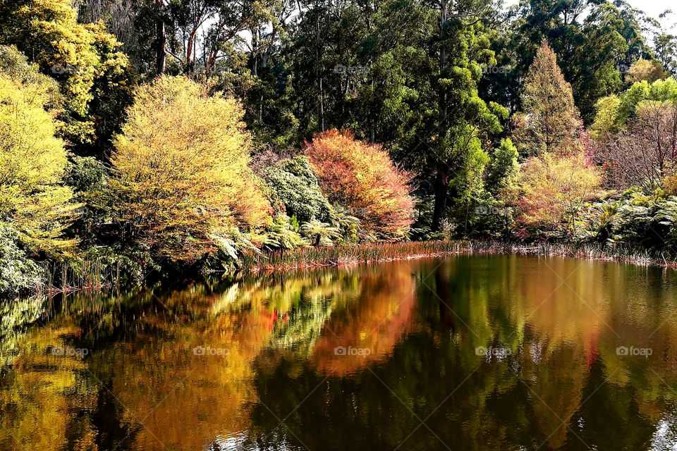 The charm is in the reflection