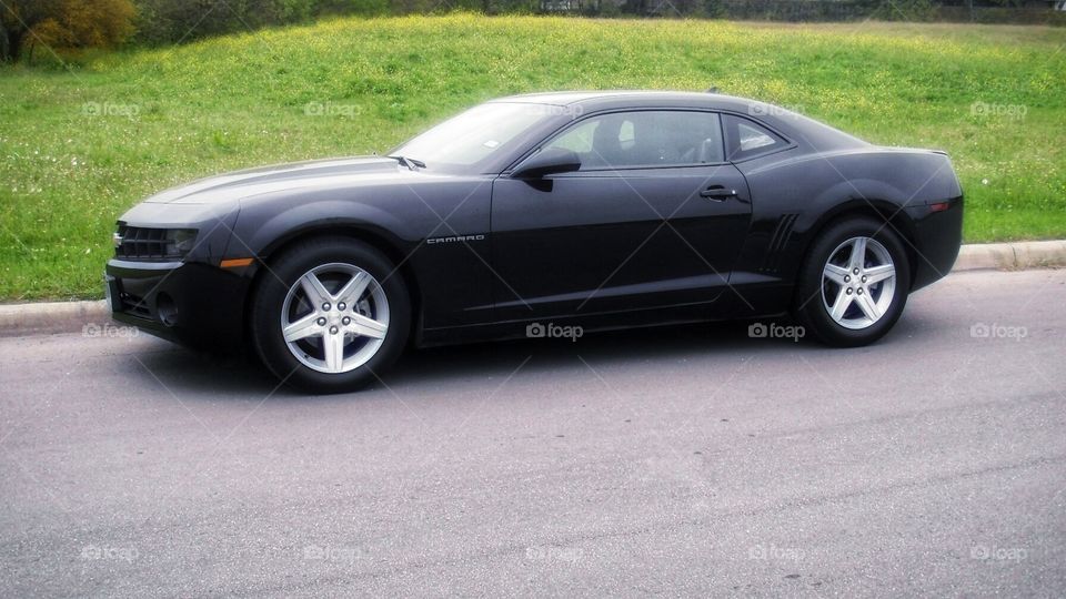 Black Camaro