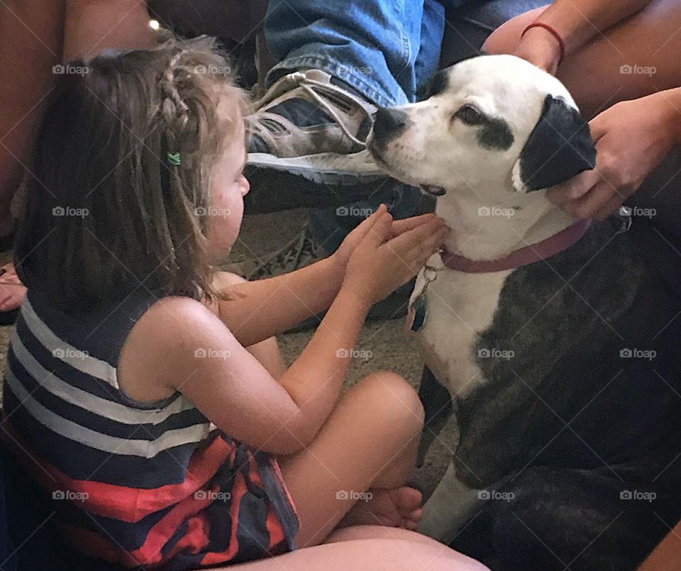 Puppy love - toddler girl giving some gentle love to a family pet dog.  She was so sweet. 