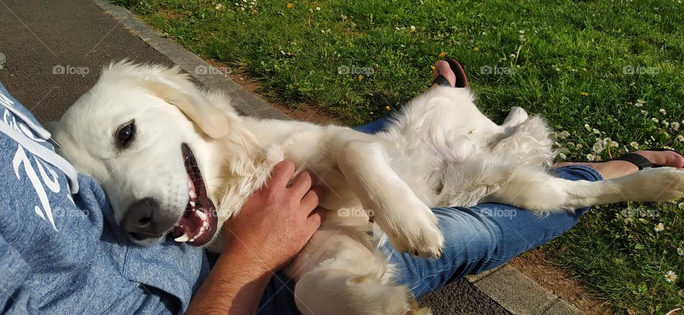 Enjoying a break in the sun while cuddling your dog is a pure moment of happiness.