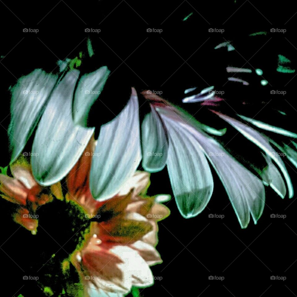 protector. lighting effects