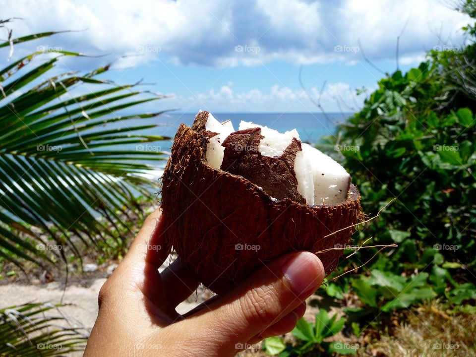 Hand with fresh coconut in front of sea on Seychelles Island La Digue