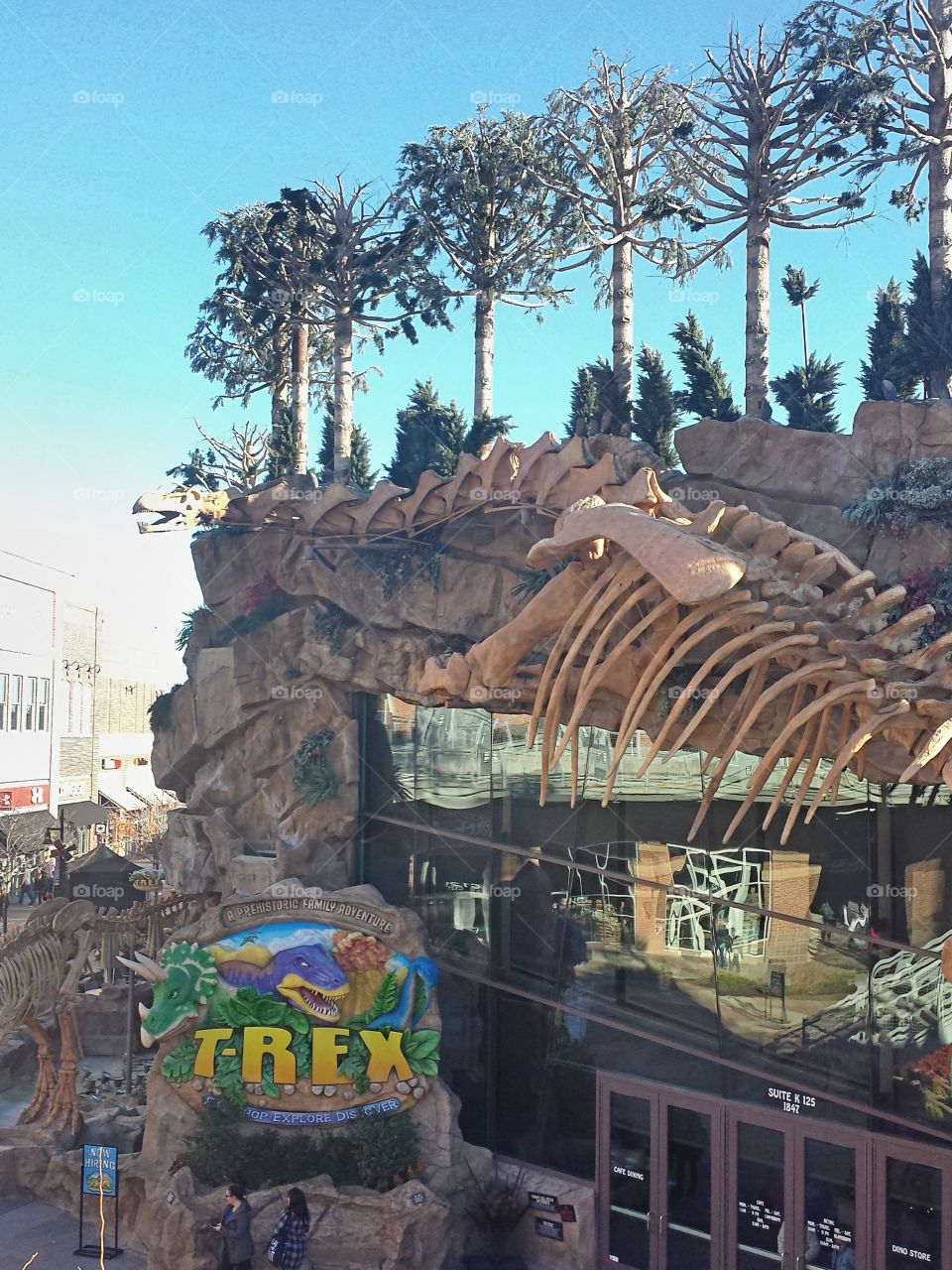 T-Rex Cafe
