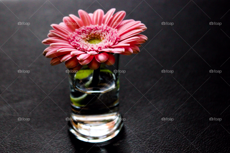 flower glass water shot by Alex_Atr