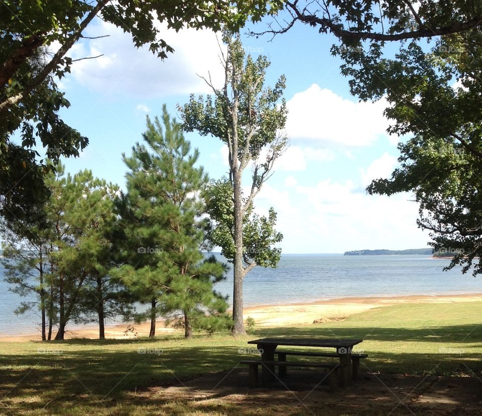 Picnic at the Lake