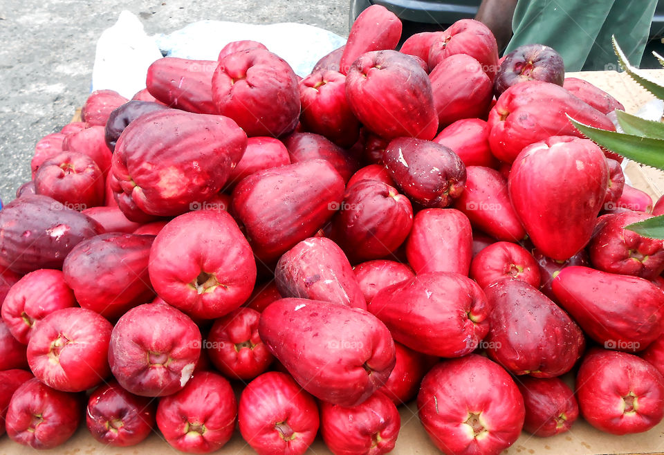 Otaheite Apple Display