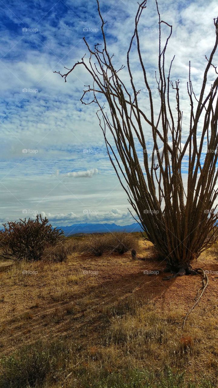 Subtle hues of the desert floor mingle with the passing clouds.