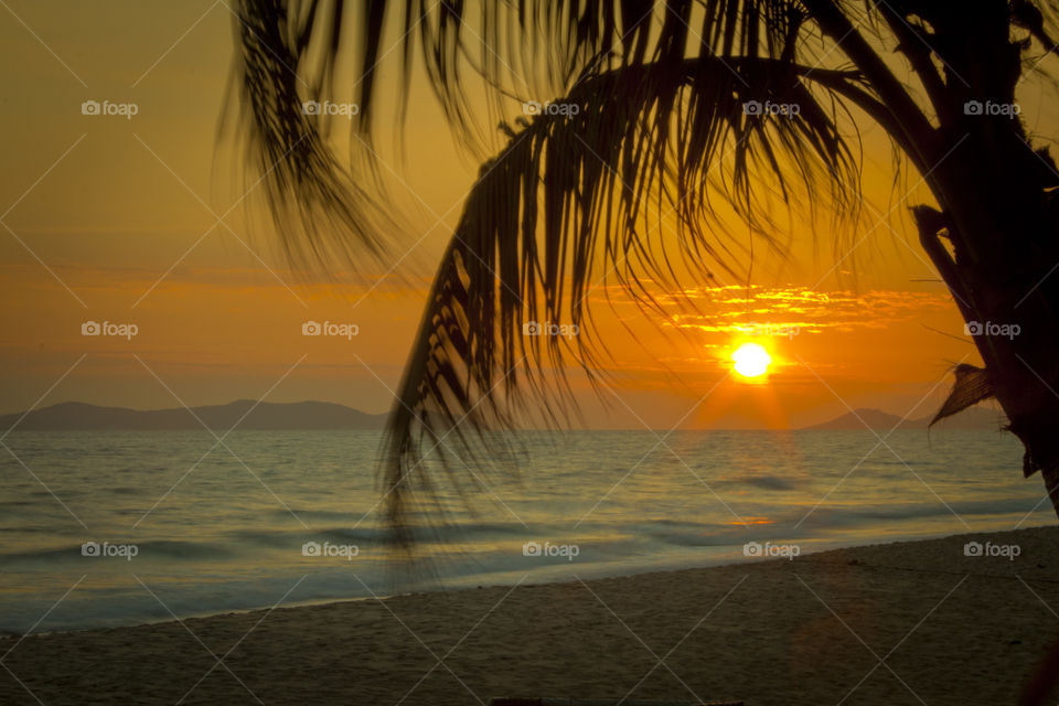 Sunset by the beach under a palm tree . beach in Thailand 