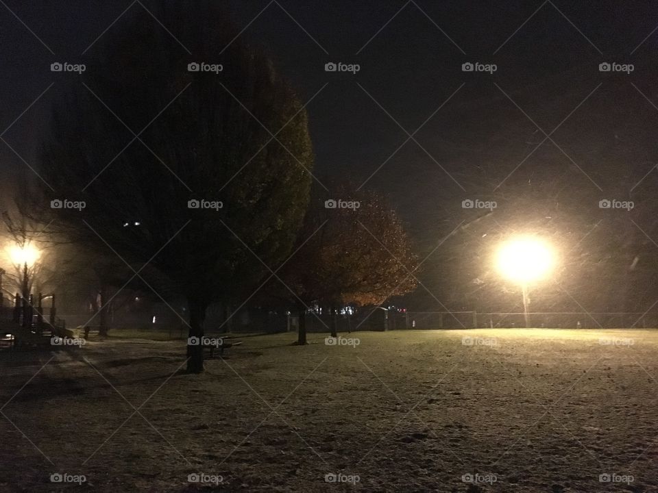 Snow over Young's field 