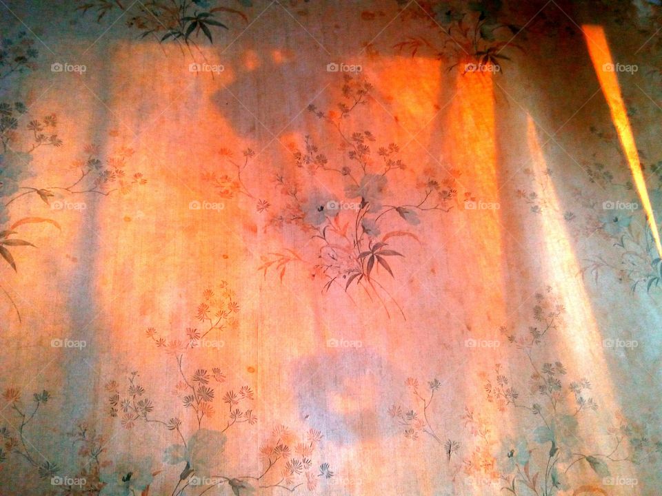 Low angle view of wallpaper