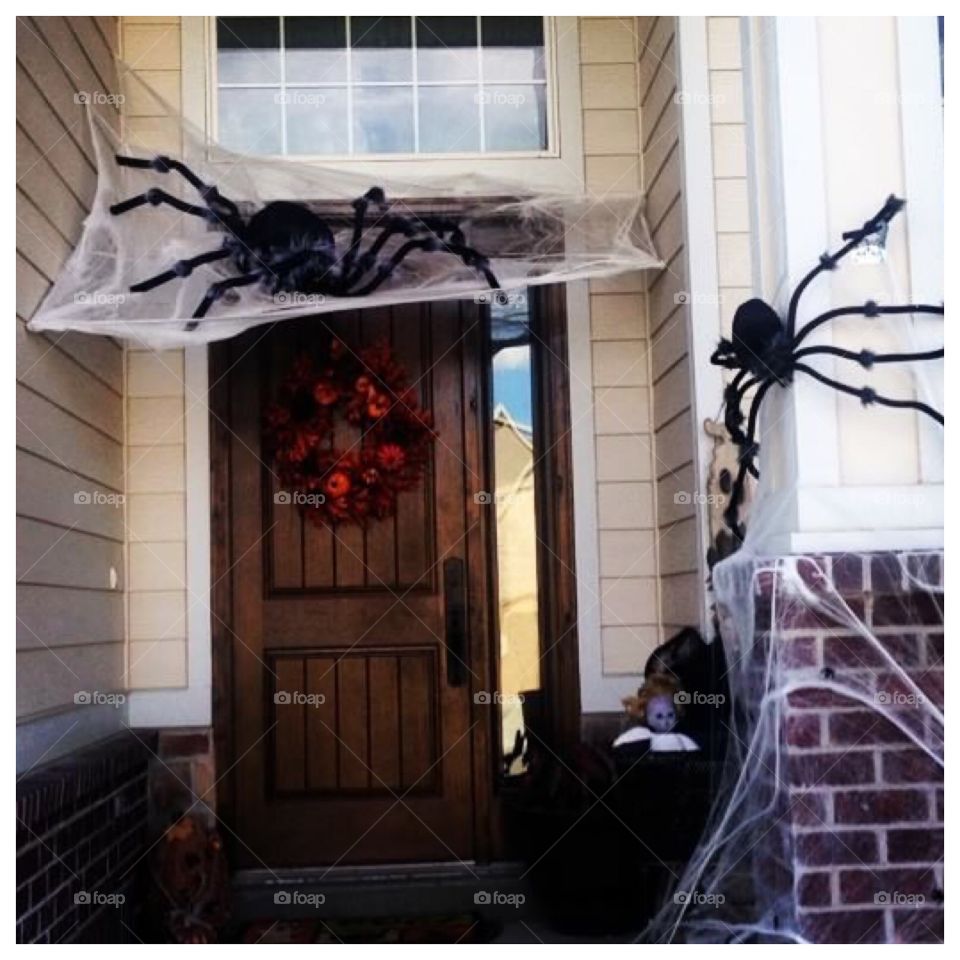 I hate spiders! But I love Halloween! 