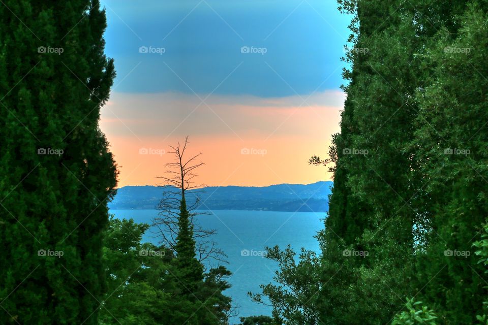 Scenic view of lake and trees in Garda