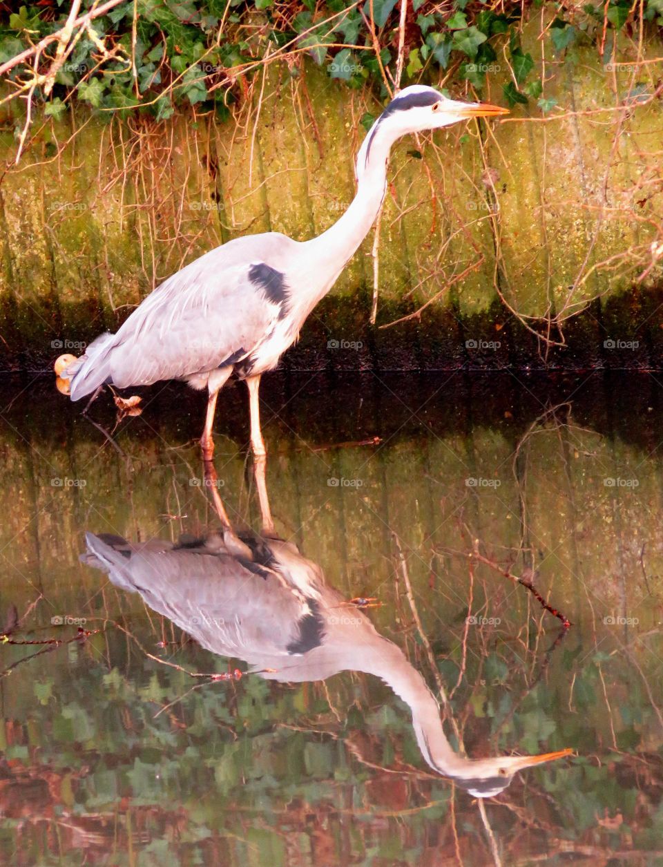 water reflection