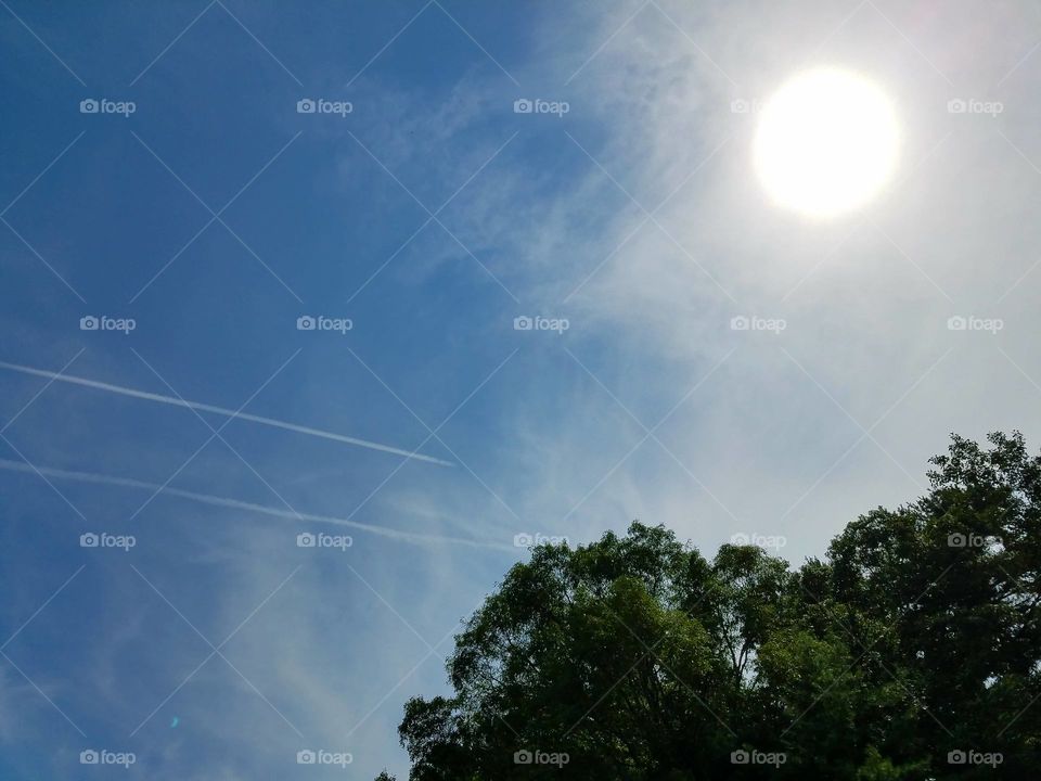 Contrails over treetops, bright sun shining during Solar Eclipse.