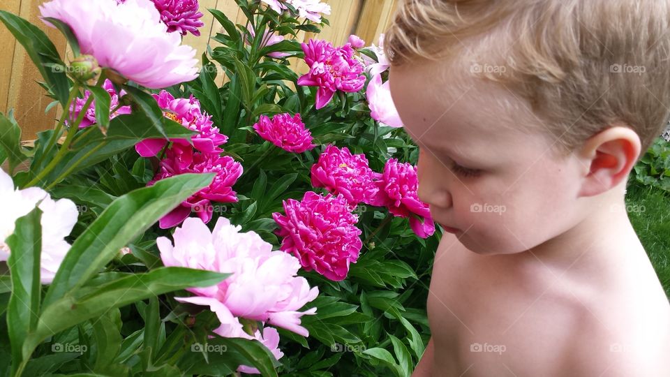 stop and smell the flowers. my son admiring my grandmother's peonies. 