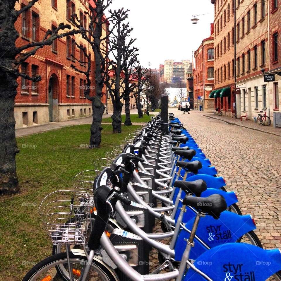 Bikes. Rental Bikes