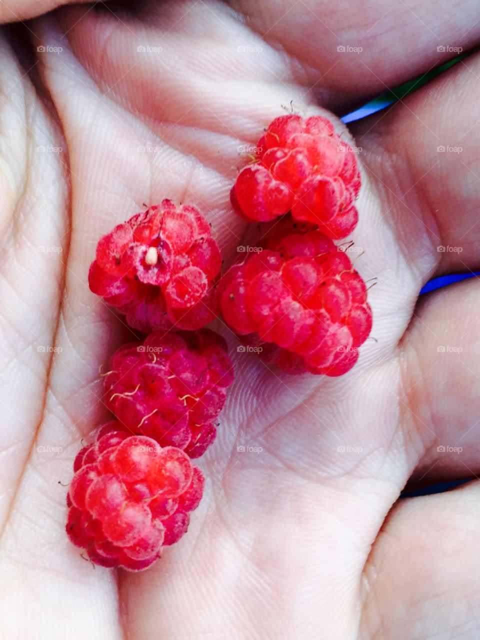 Raspberry 