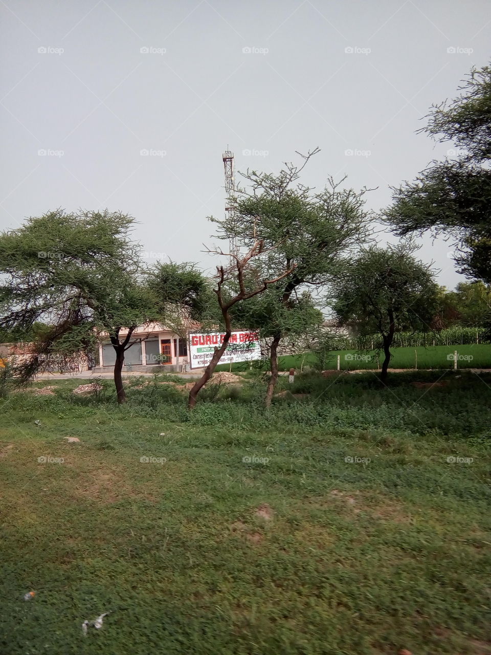 natural beautiful seen of a village in India.