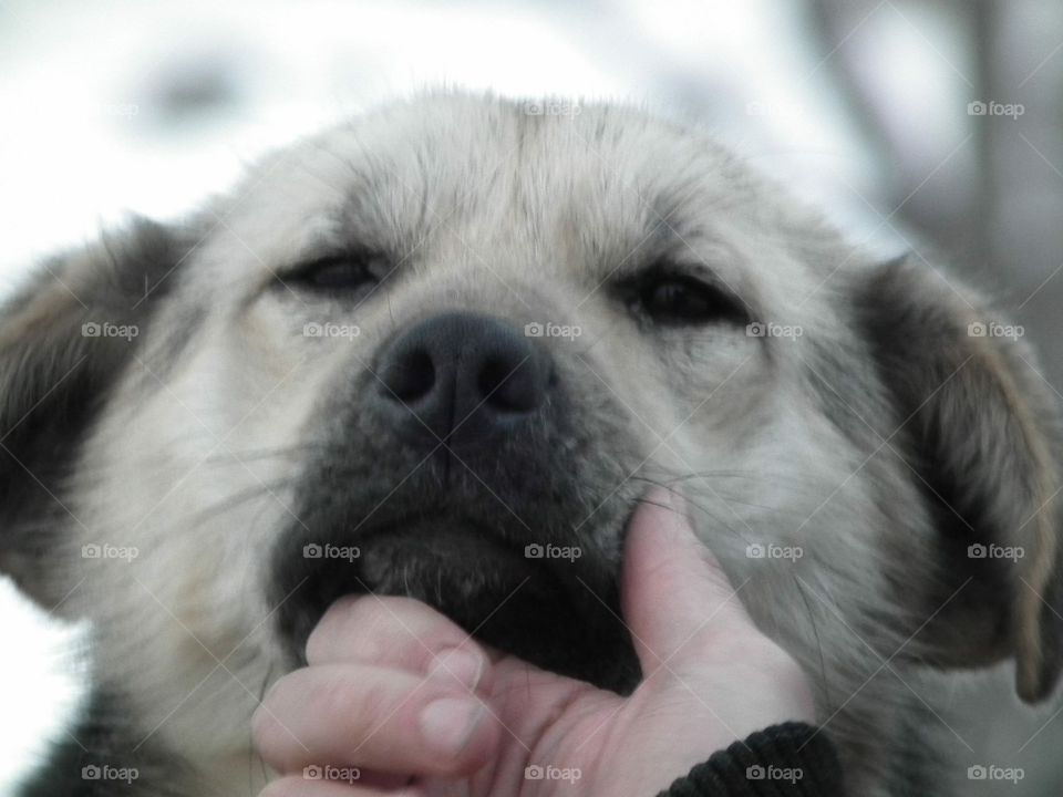 Comforting scratches 