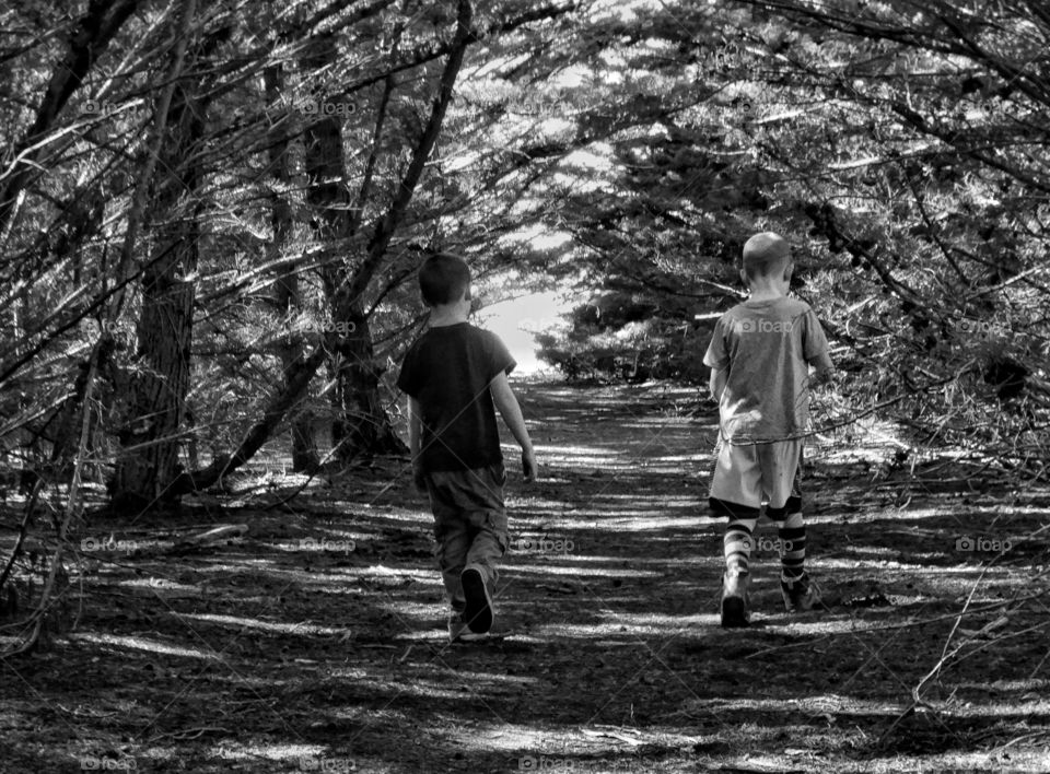 Young Brothers In The Forest

