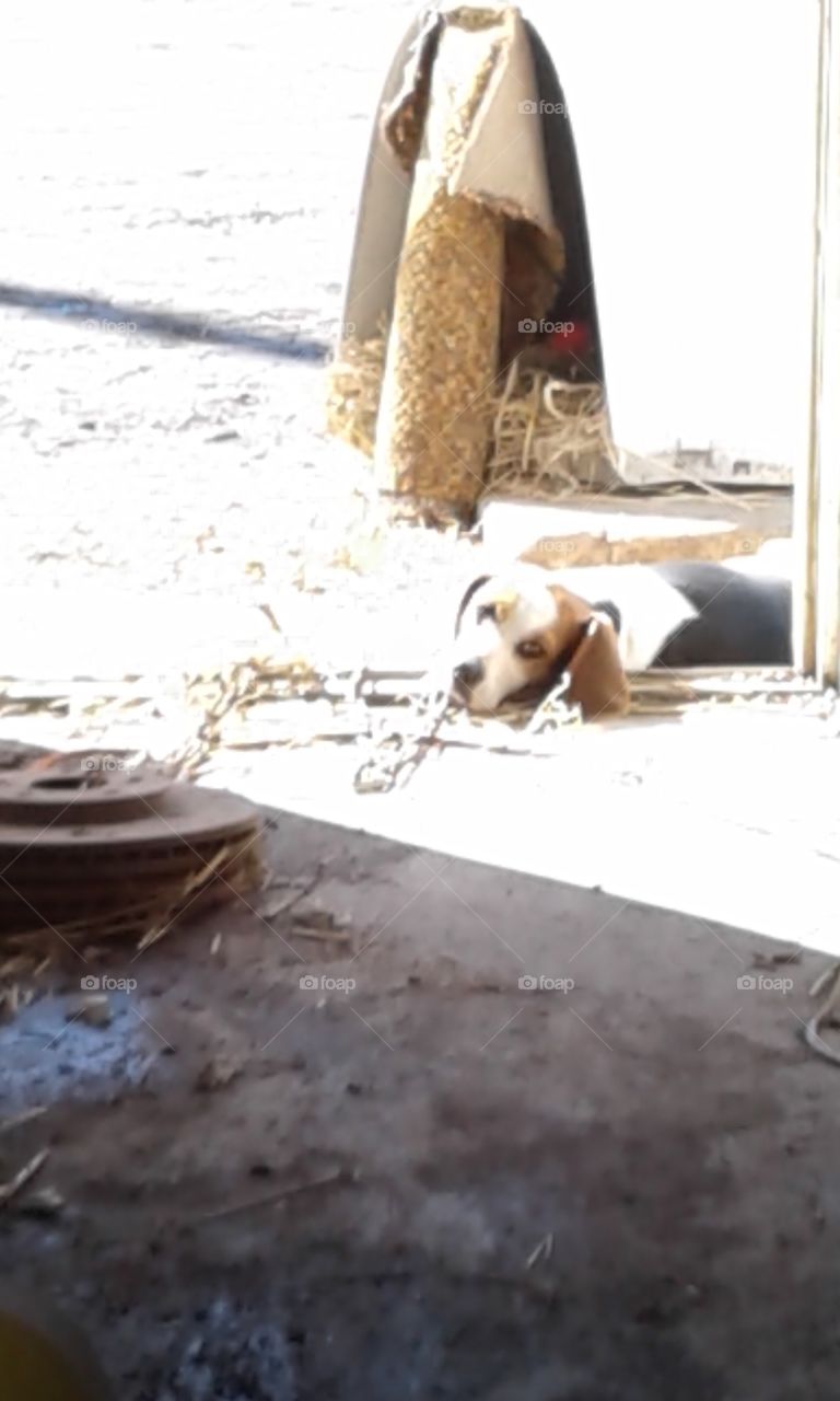 In her own little world!