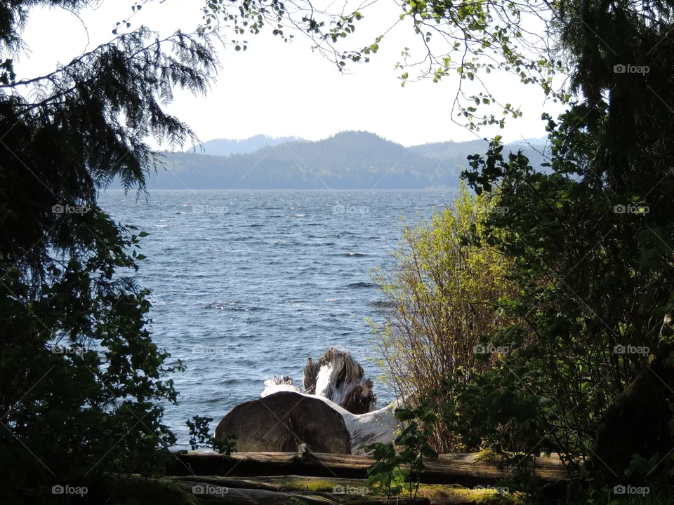Lake