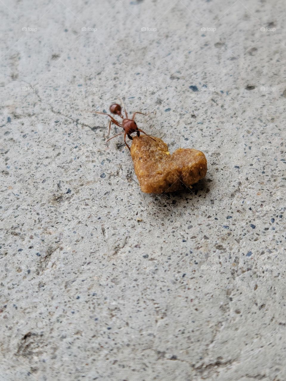 small things up close