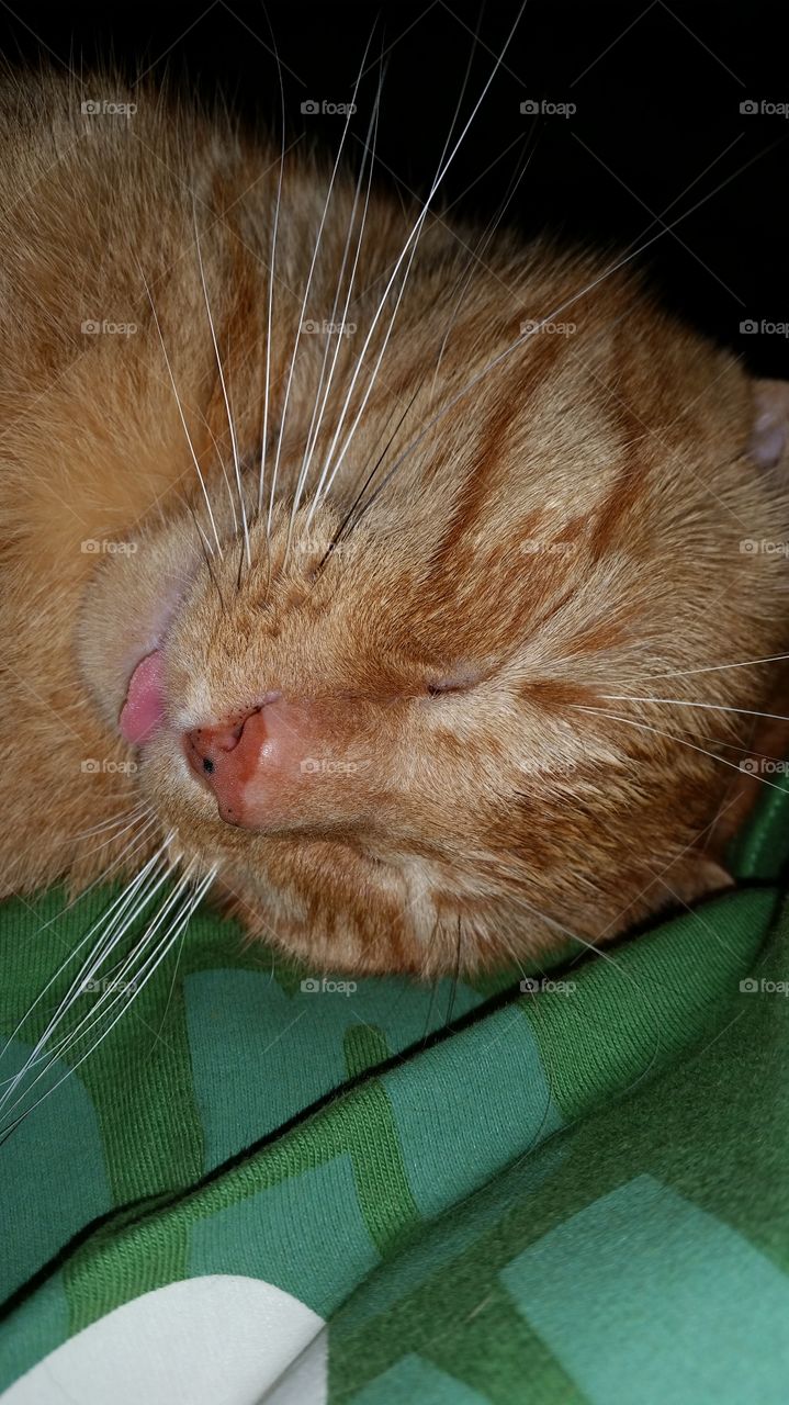 Lil Guy had a hard day. when I got Home he jump in may lap and said Daddy was you day as Hard as mine .....