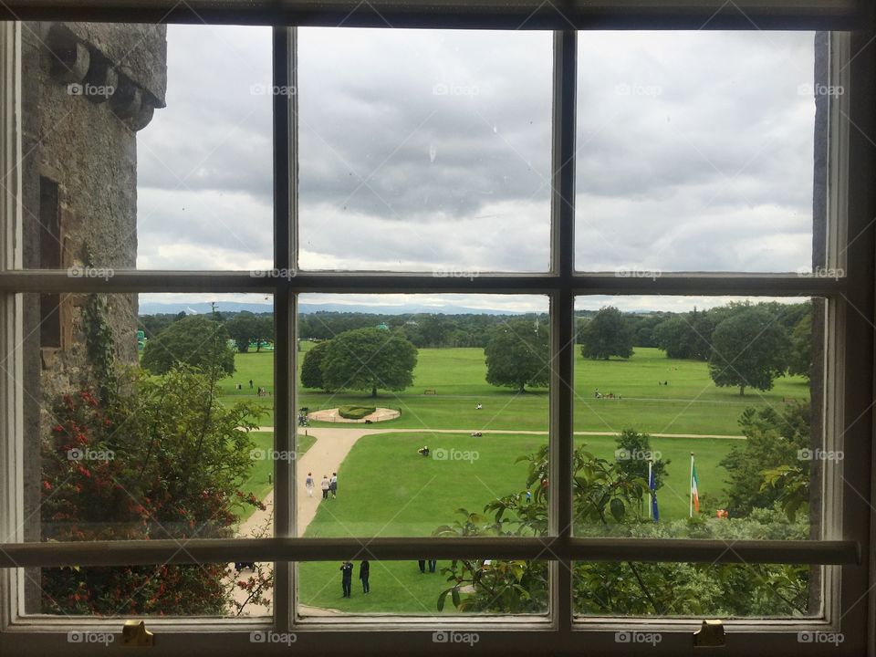 Window, Summer, Nature, No Person, Sky