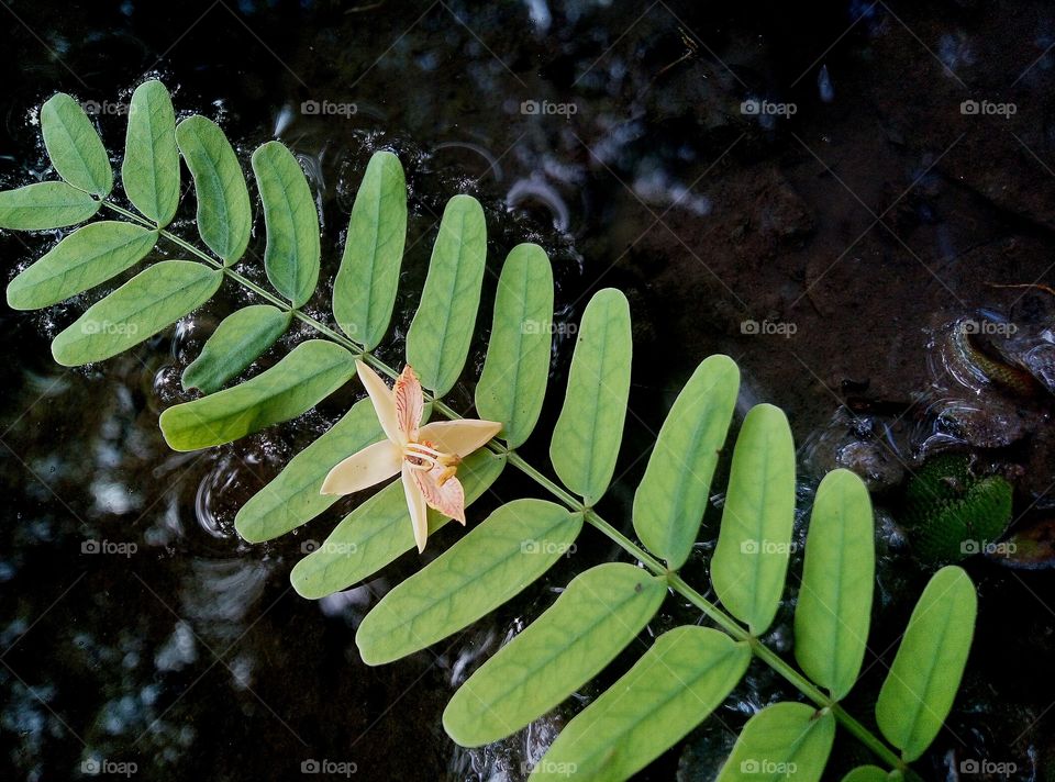 Watch only what you want