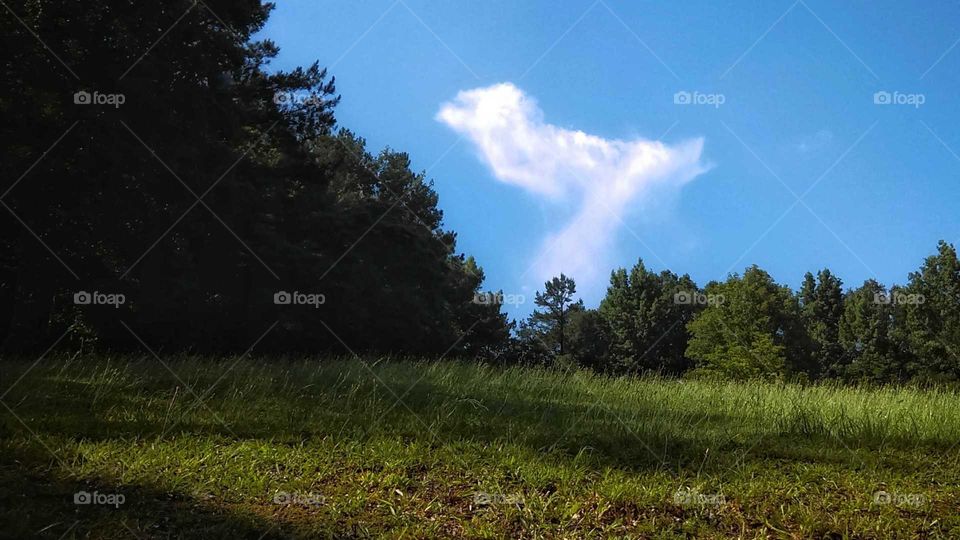 one shapely cloud in the sky