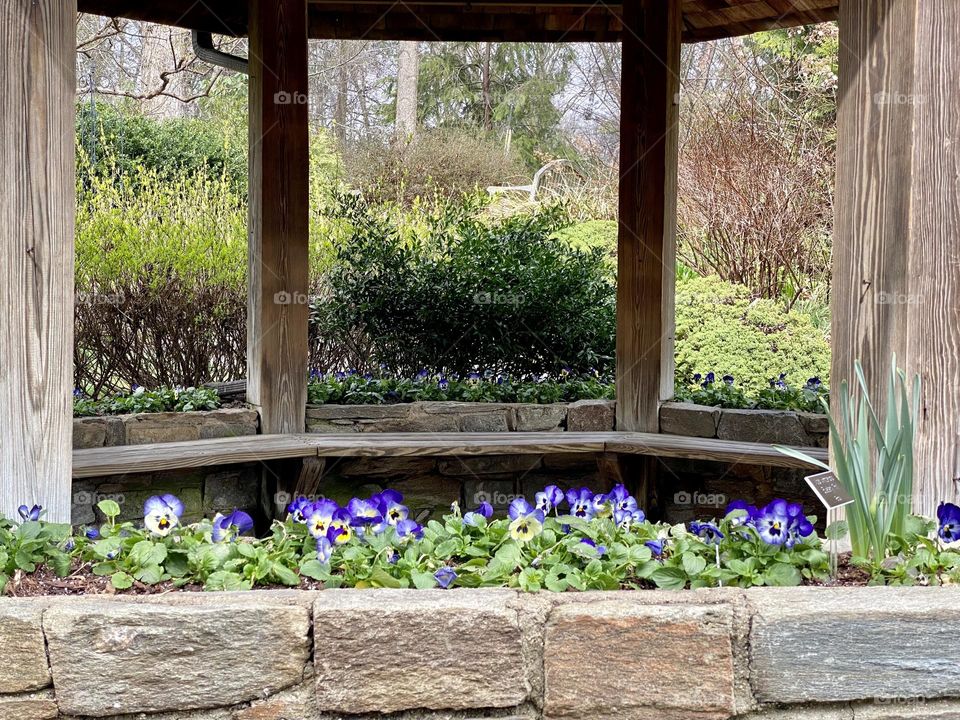 A gazebo in a garden surrounded by pansies 