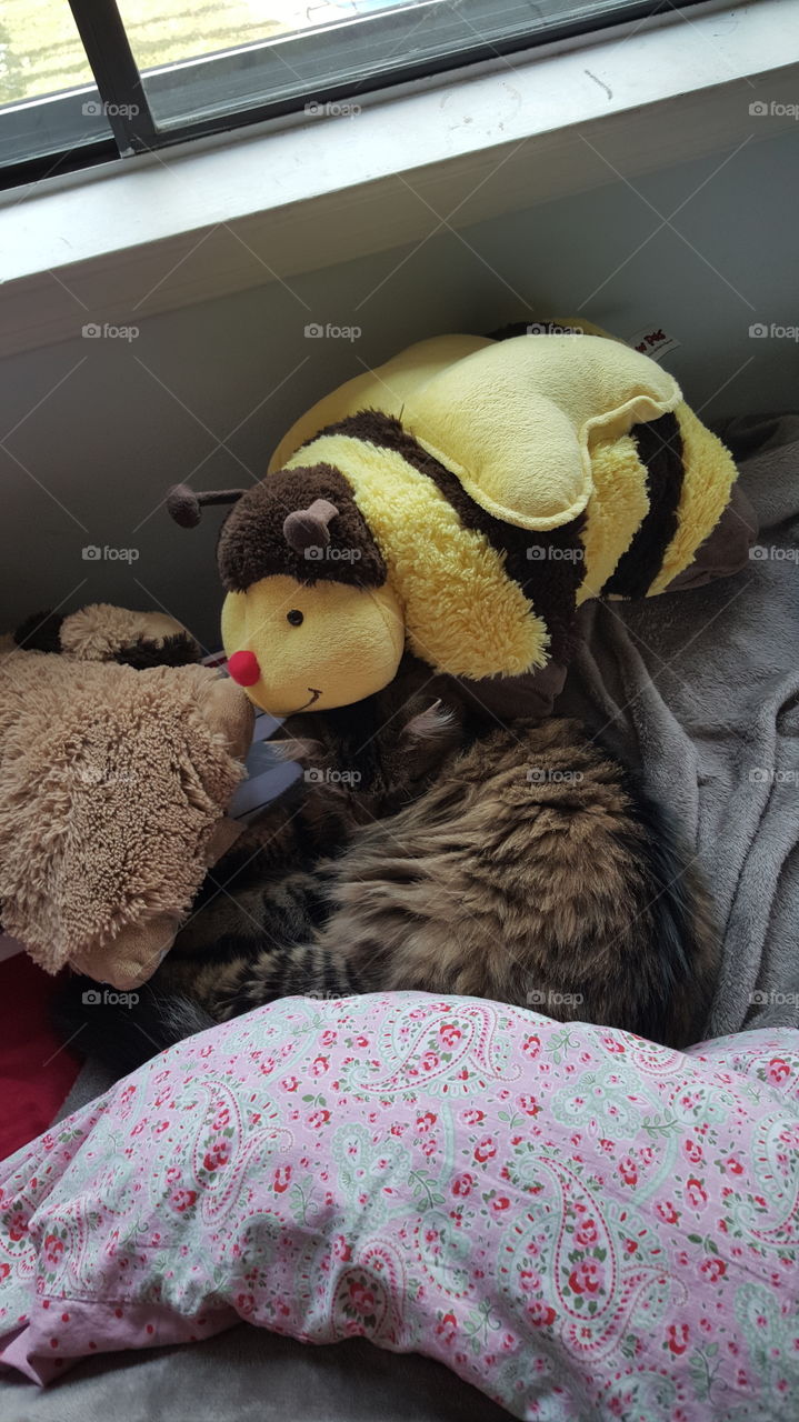 Hold still! There's a bee on you!