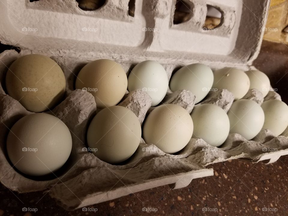 Freshness by the dozen