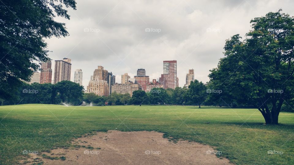 NYC Park View