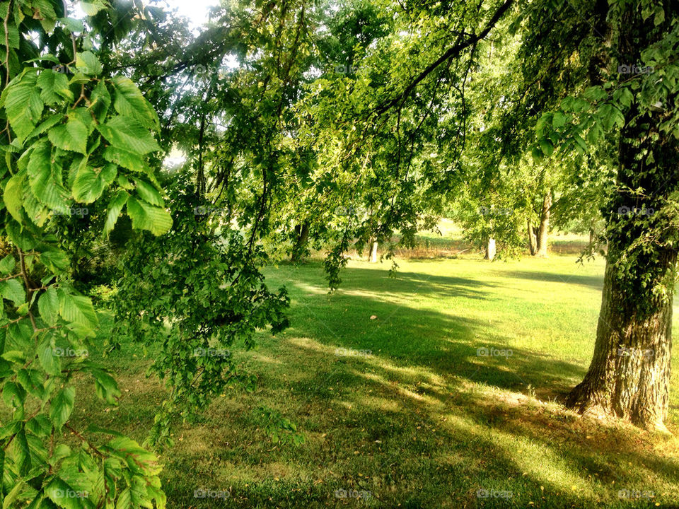 landscape sky green blue by vickikl3