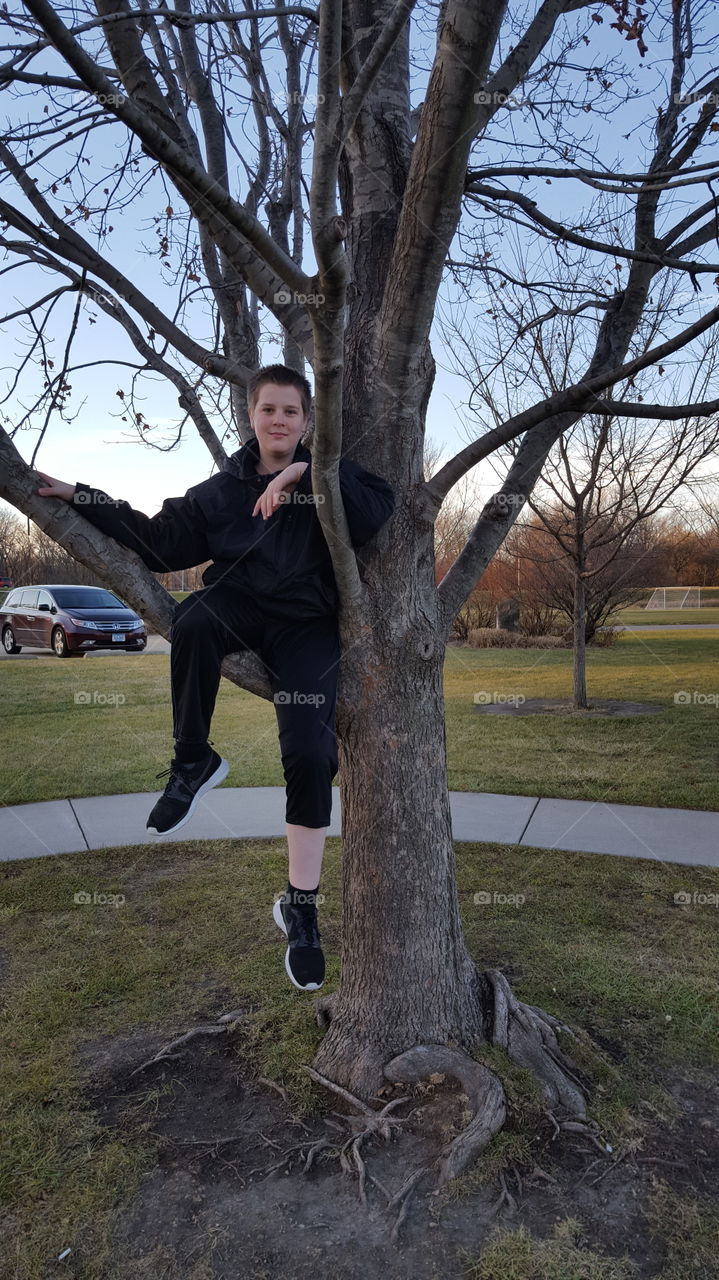 Boy in tree at park