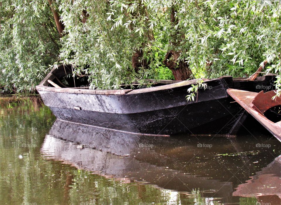 Marais de Saint Omer