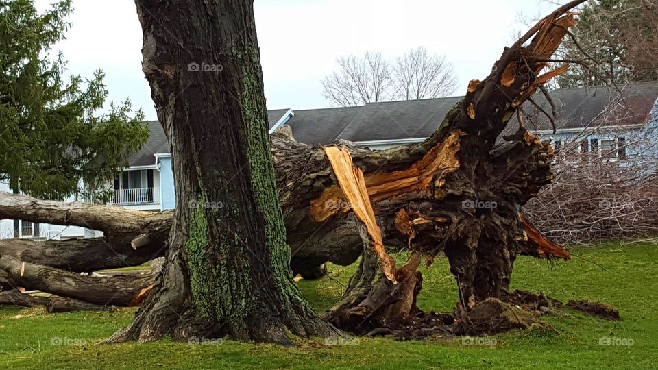 Storm Damage