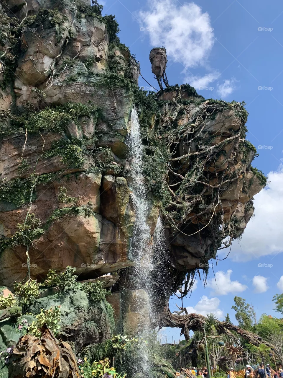 Pandora land at Animal Kingdom in Florida. 