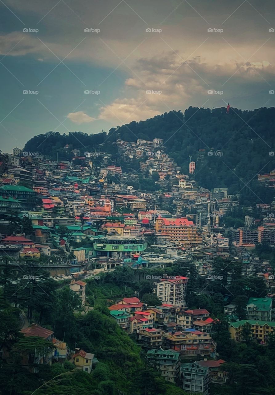 shimla