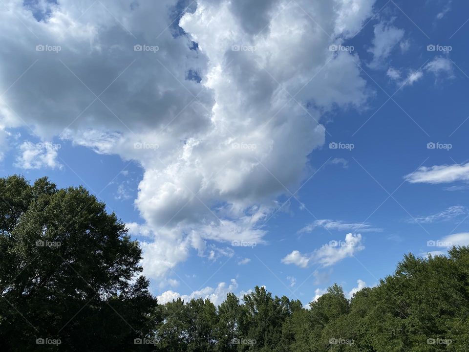 A beautiful day to look up at the sky 