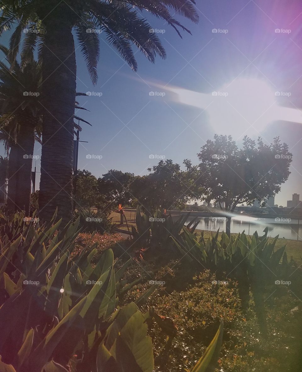 landscape city background